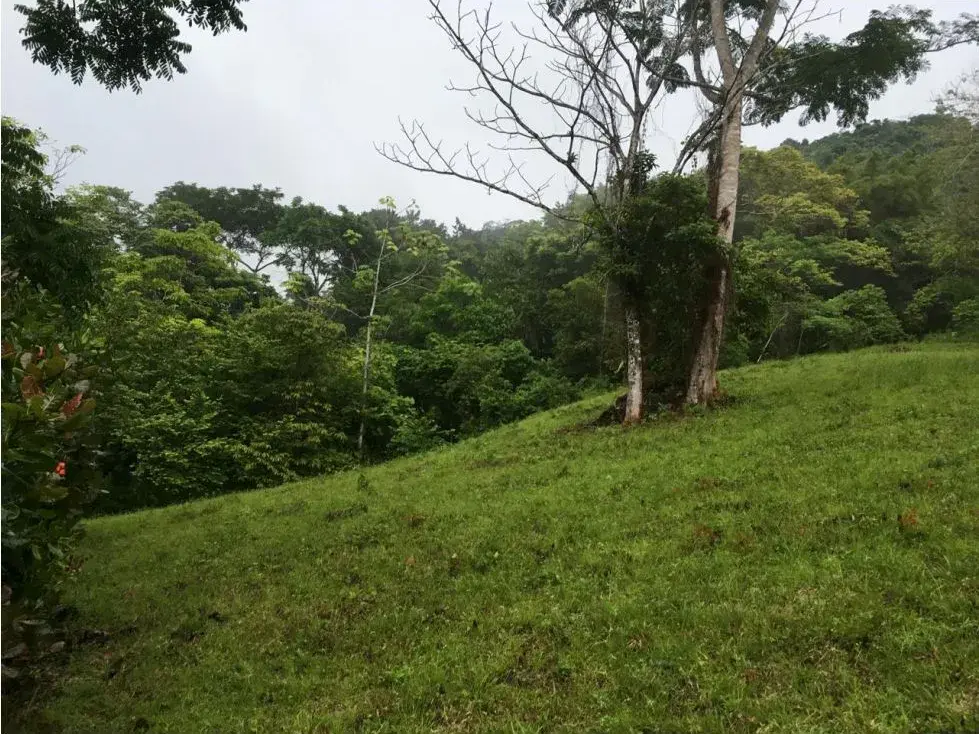 Great Opportunity to Buy Your Lot Of Land In Playa Hermosa, Jaco - 1
