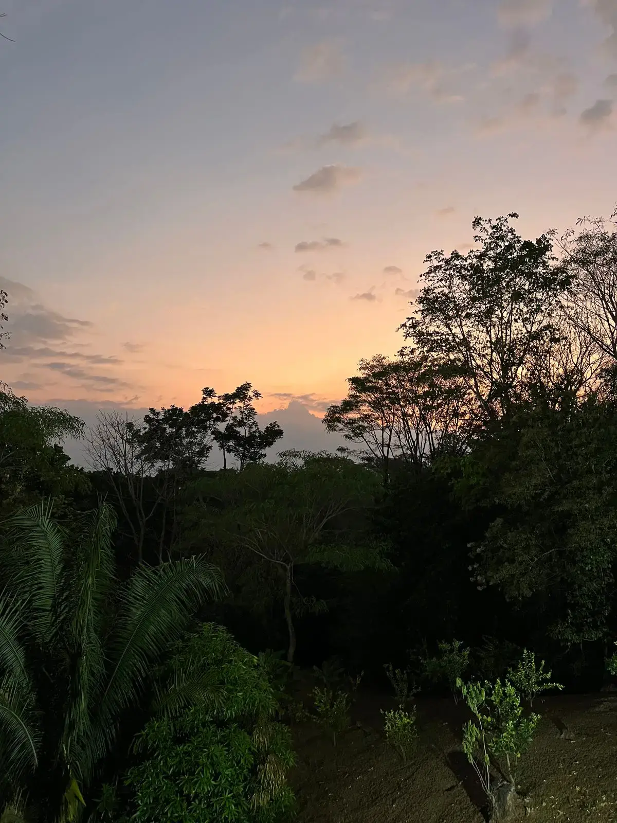 Four Acres of Lush Nature with Panoramic Views of Carara National Park - main