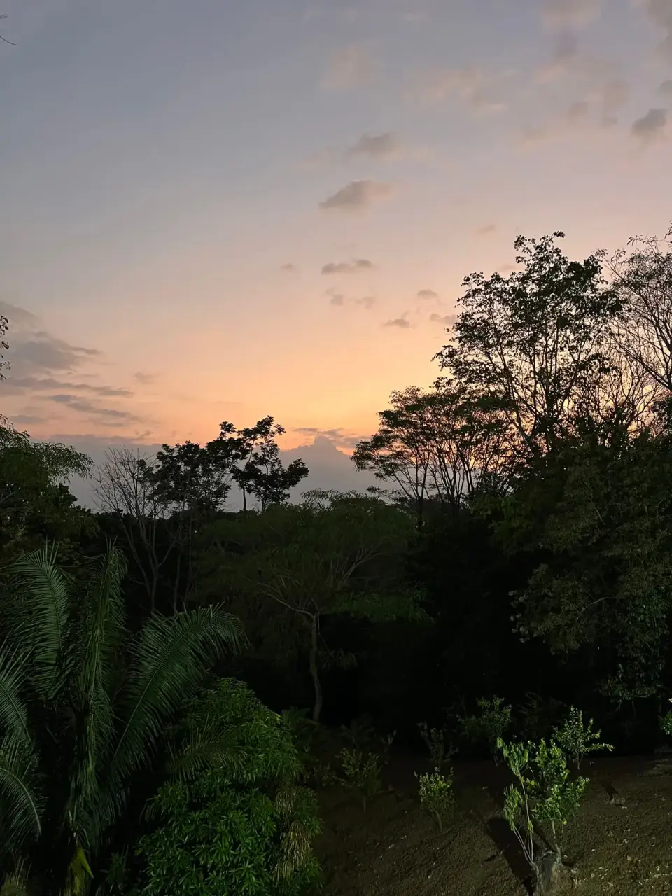 Four Acres of Lush Nature with Panoramic Views of Carara National Park - 1