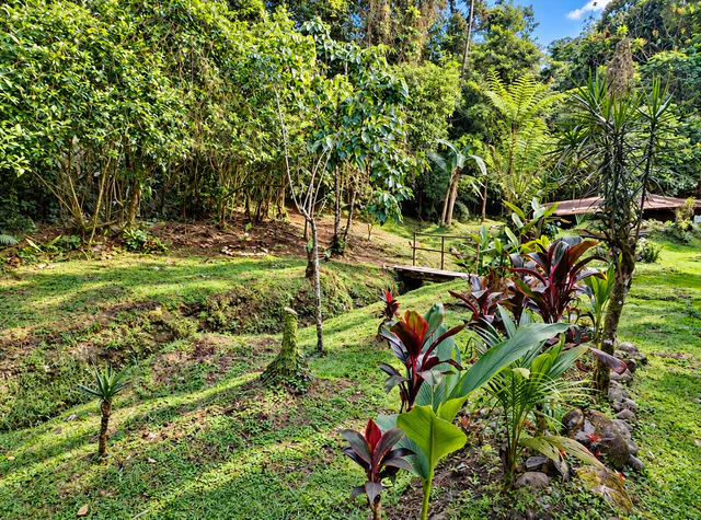 FOR SALE / Private 2-Hectare Refuge in Nature Reserve with Forest Views, Guápiles, Limón