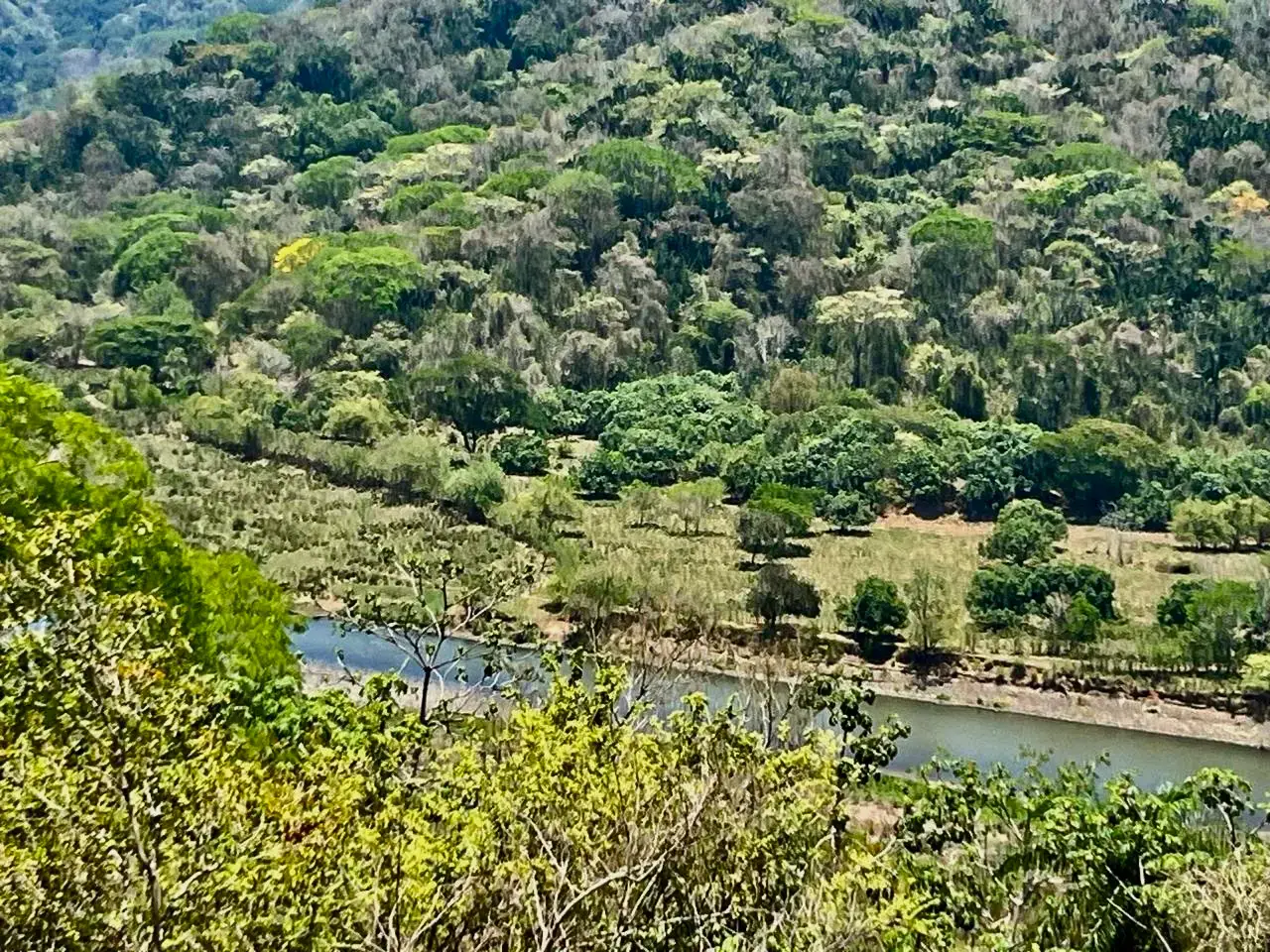 Prime Development Land Overlooking Carara Reserve & Tárcoles River | 2 Hectares - 3