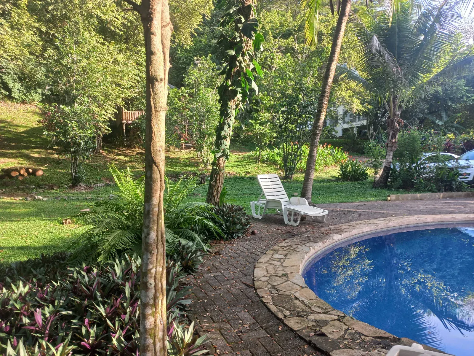 Terrain avec piscine privée à Hermosa, Puntarenas : une oasis de détente et de nature - main
