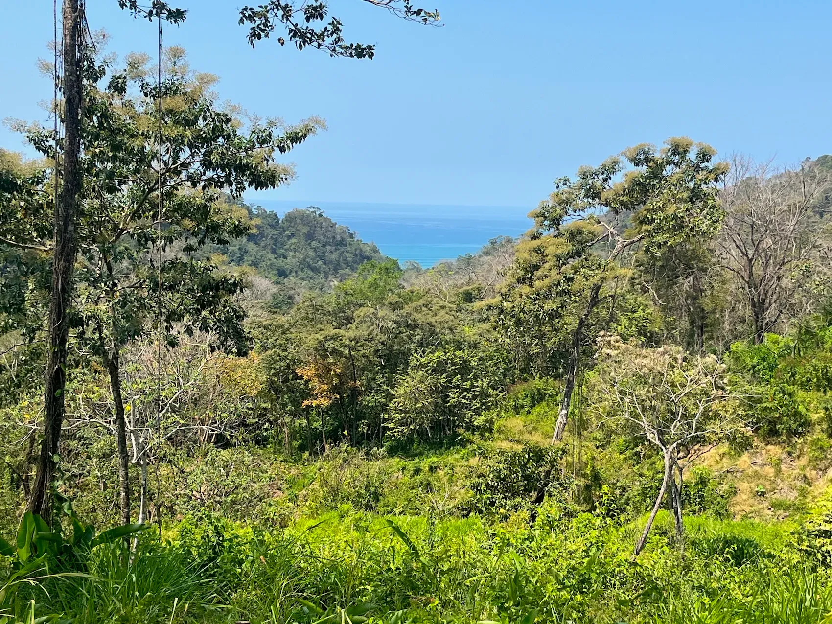10,000m² Ocean-View Lot in Gated Community – 15 Minutes from Santa Teresa - main