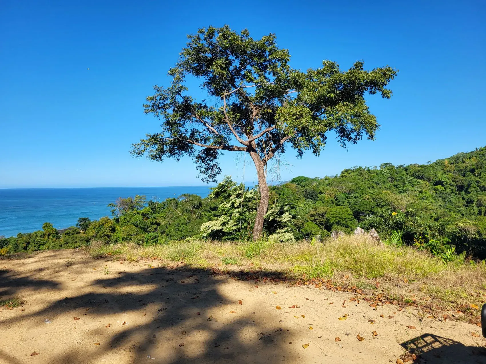 Beautiful 1.8 (18,000 m2) Hectare Mountainside Ocean View Lot in Mal Pais - main