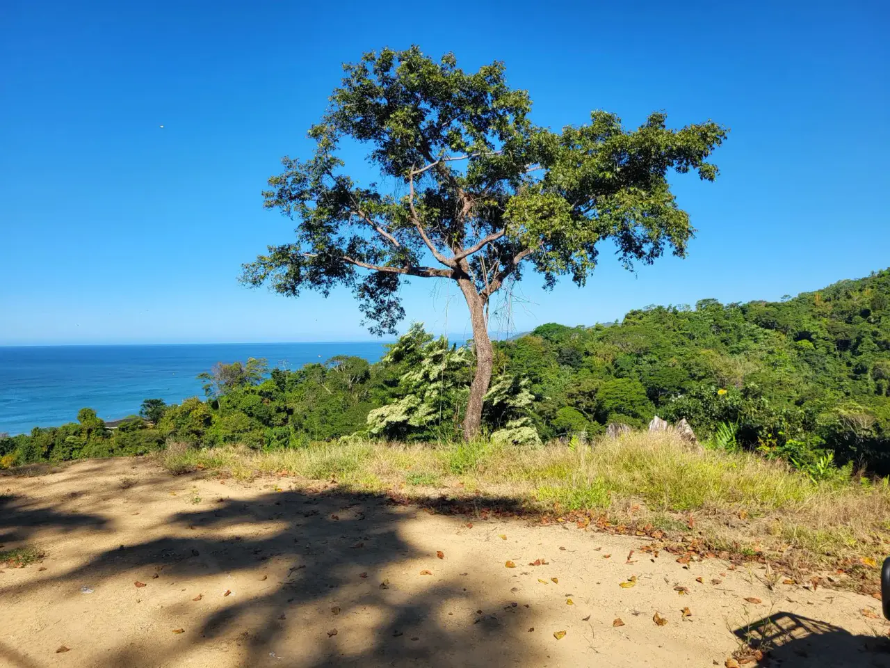 Beautiful 1.8 (18,000 m2) Hectare Mountainside Ocean View Lot in Mal Pais - 1