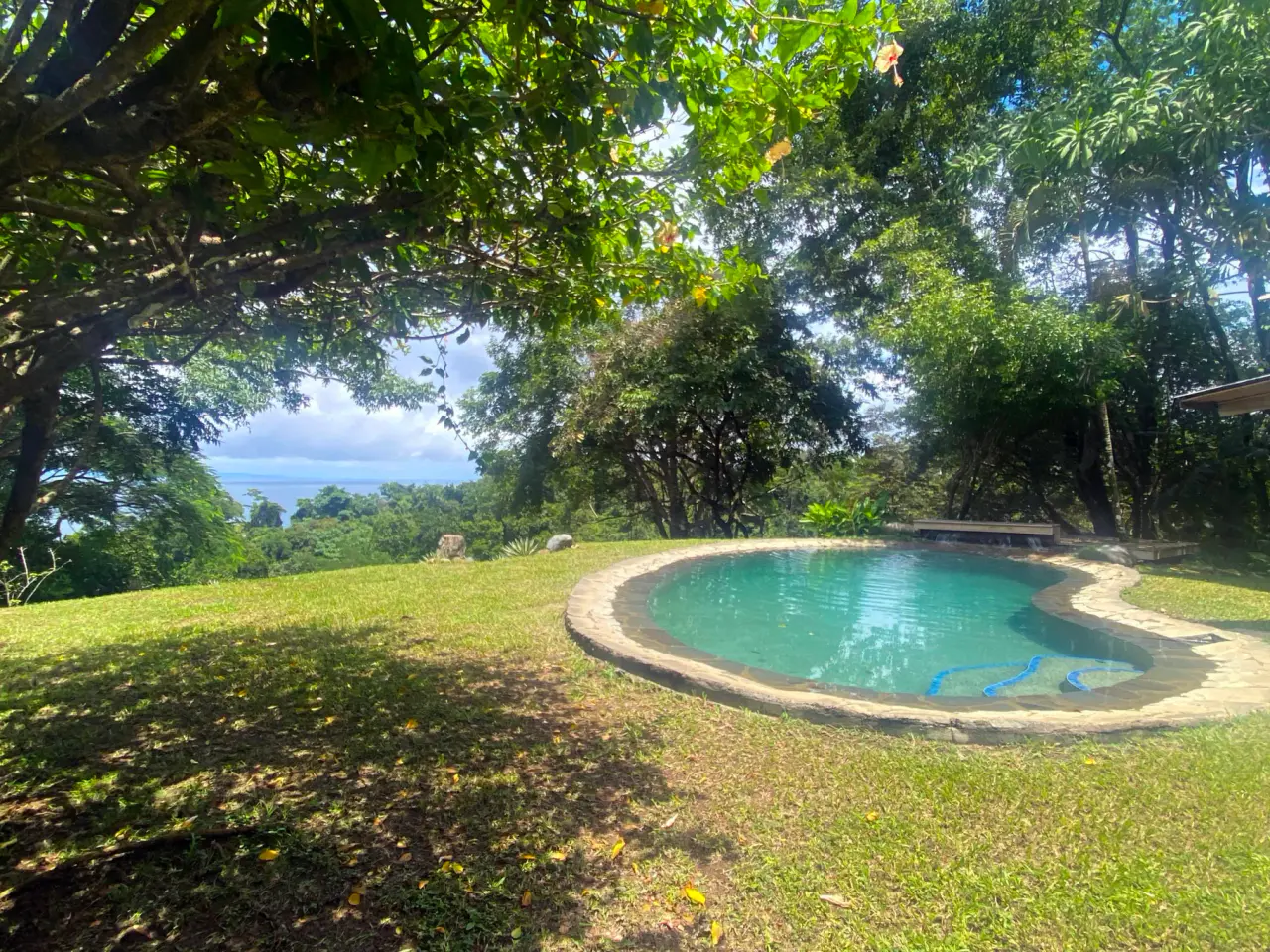Amazing Ocean View Property with Exceptional Development Potential & Boho Home, Rustic Cabin and Pool in Delicias Near Montezuma - 1