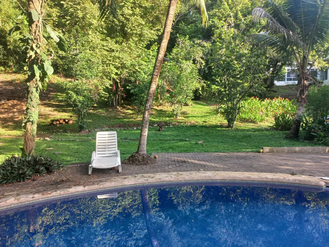 Terrain avec piscine privée à Hermosa, Puntarenas : une oasis de détente et de nature - 3
