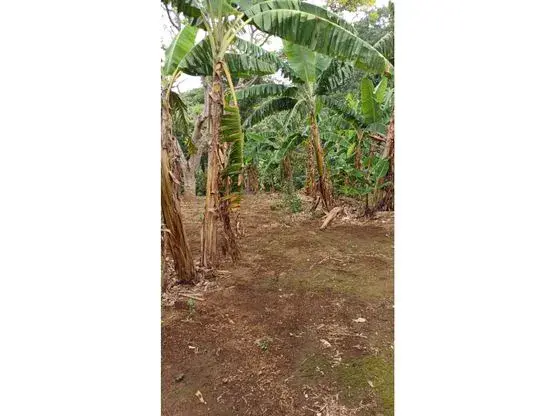 Lot for Sale in Santa Bárbara de Heredia - 2