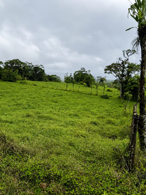 Expansive Agricultural Farm in Parcelas de Zapotal, San Ramón, Alajuela