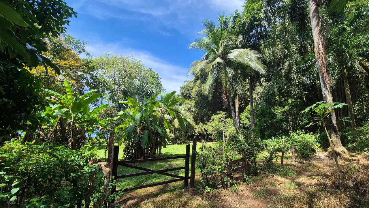 Dream Beachfront Property at Ballena Beach in Uvita, Costa Rica - 4