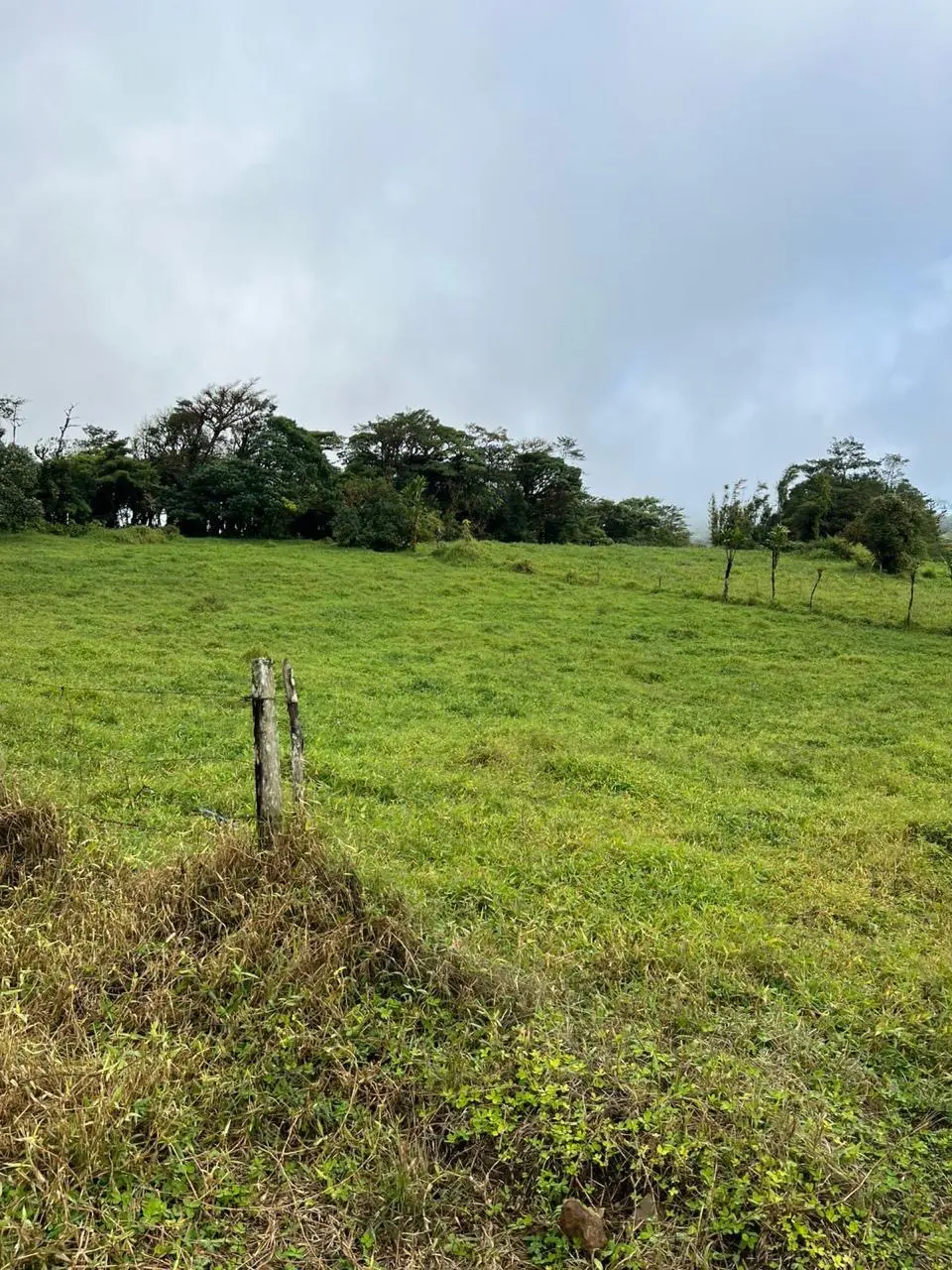 Expansive Agricultural Farm in Parcelas de Zapotal, San Ramón, Alajuela - 3