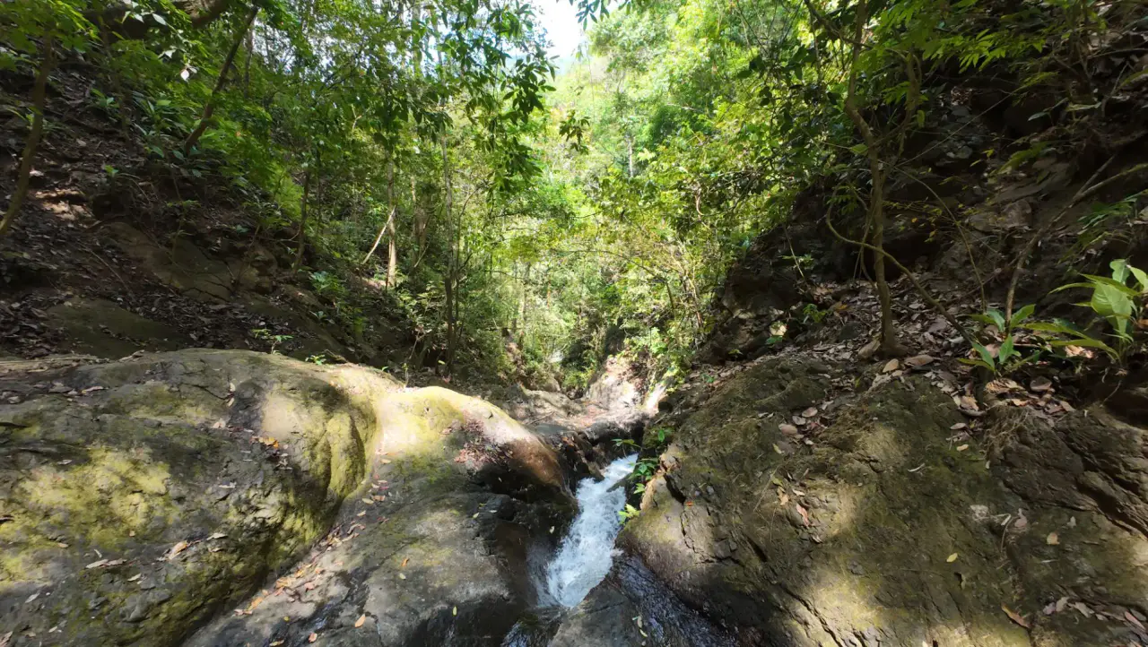 Prime Land for Sale in Pueblo Nuevo, Jacó - Perfect Investment! - 4