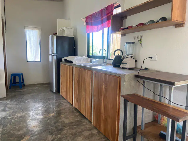 Two  New Homes in Delicias Near Santa Teresa, Montezuma and Cabuya 