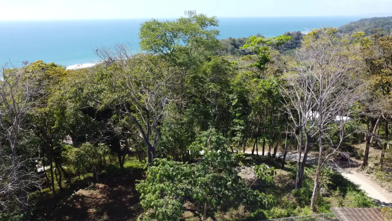 Exclusive 1260 m² Development Lot in Santa Teresa – Prime Location on Calle Buenos Aires - 3
