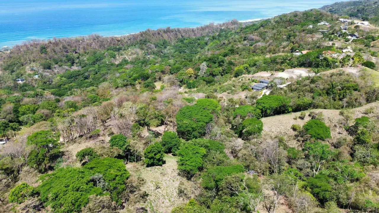 Exceptional Hillside Lots with Ocean & Jungle Views in Santa Teresa, Costa Rica - 3