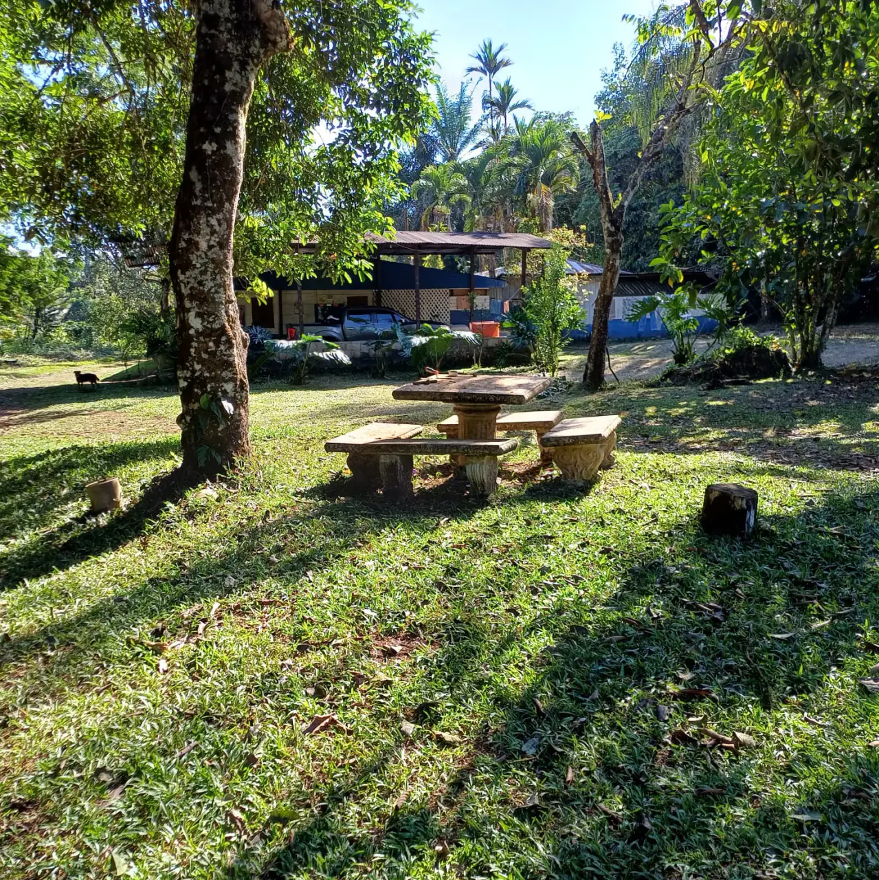 Investment Opportunity in Pérez Zeledón - 3