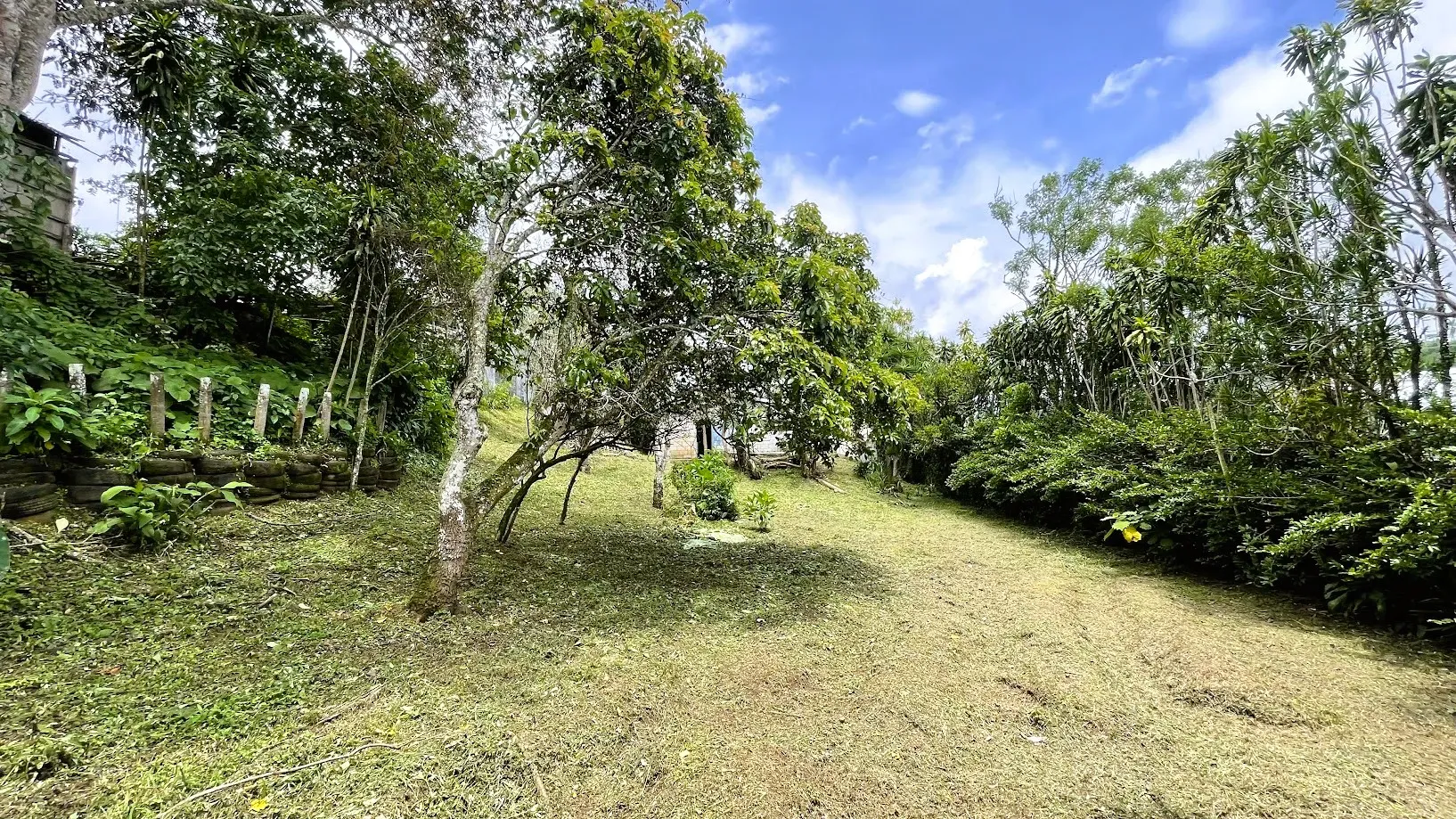 LOT WITH HOUSE FOR SALE IN SAN RAMÓN, ALAJUELA - main