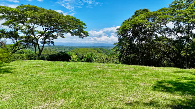 Terrain Exceptionnel à Tarcoles : Vues sur Mer, Rivière et Nature Pure
