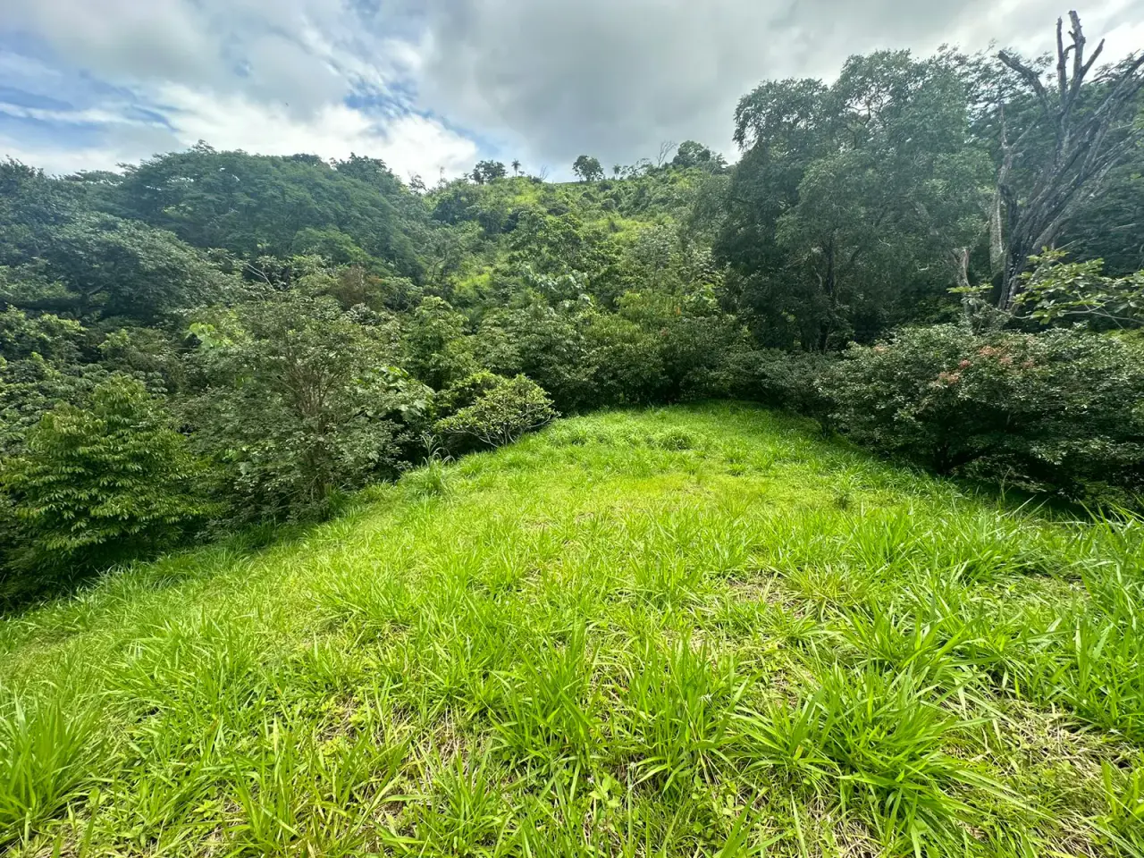 Build Your Future in Turrubares: Nature, Development, and Quality of Life - 3