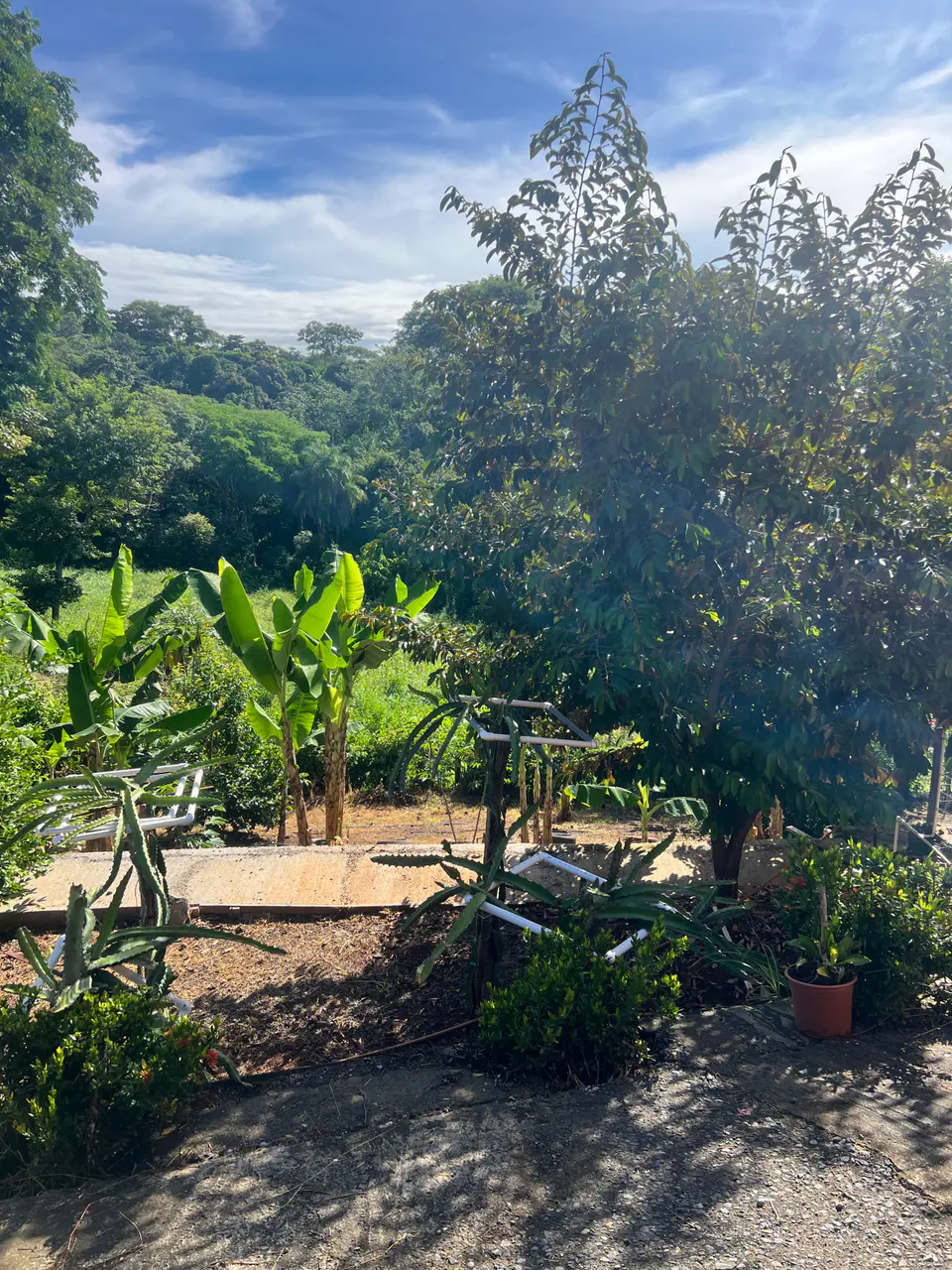 Property for Sale in Cuarros de Lagunillas, Garabito | 2,044 m² with 2 Bedrooms - 5