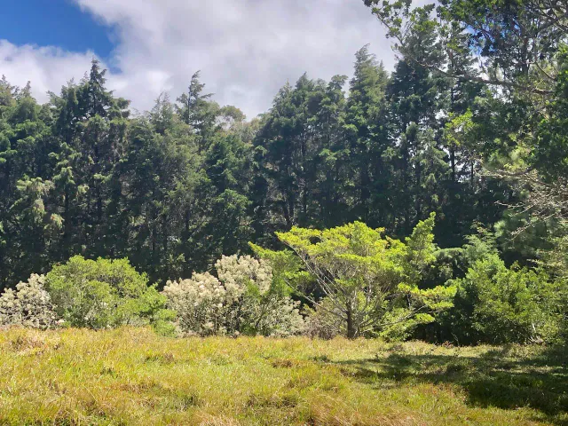 SALE / Impressive Land (With Commercial Use Permit) San Isidro, Heredia