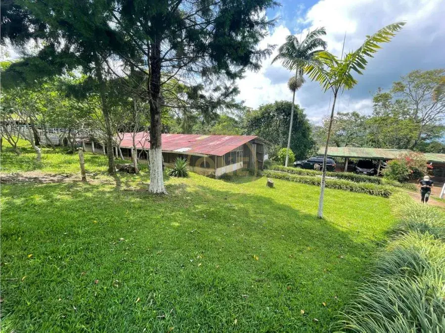 Venta Finca Puriscal - 5