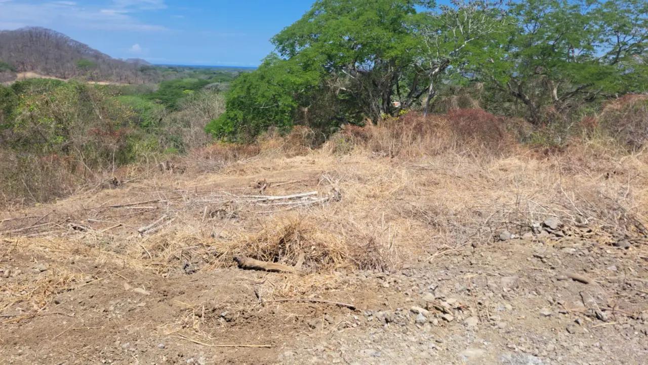 Sale / Exceptional Lot in Tamarindo, Guanacaste: Near Beaches and Nature - 4
