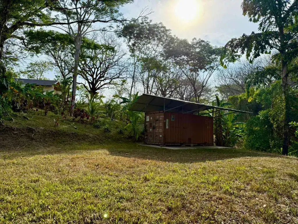 Jungle Lot 1,494 m² in Delicias — Container Storage & Home Potential | 15 Min to Playa Carmen - 4