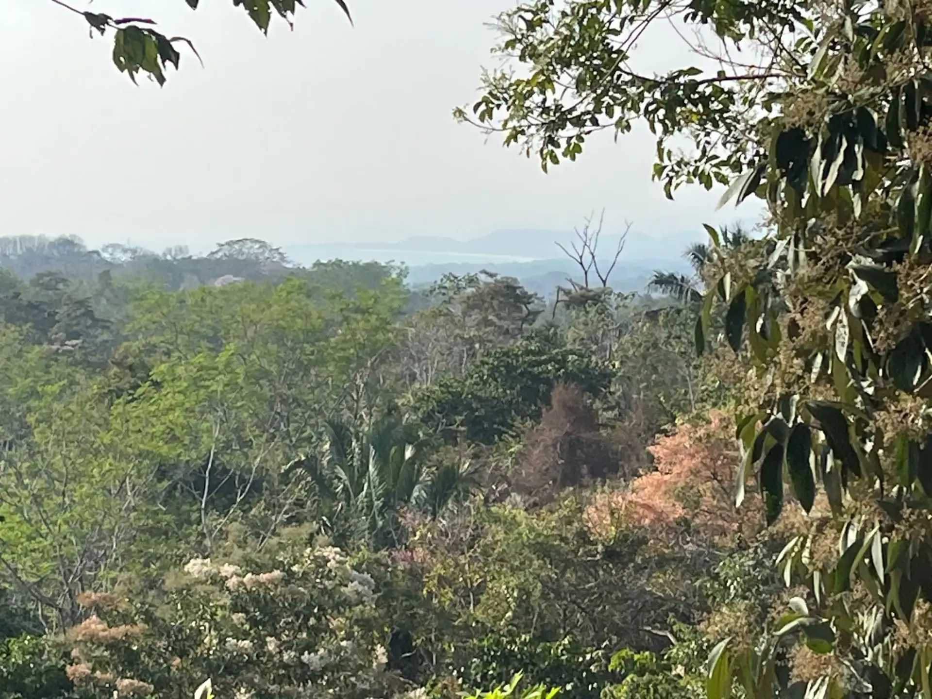 11.000 m² de hermoso terreno con vista al mar – Uso residencial y comercial en Santiago - main
