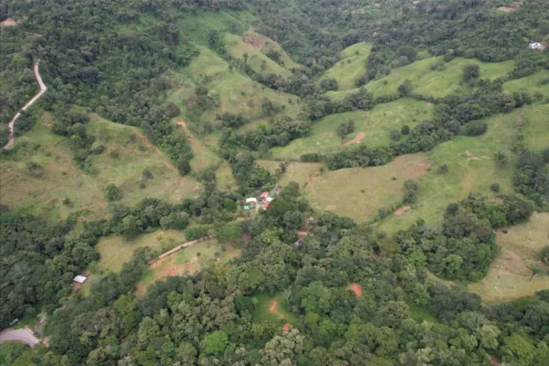 FINCA PARAÍSO NATURAL DE 203 ACRES EN BARU, PÉREZ ZELEDÓN - 4
