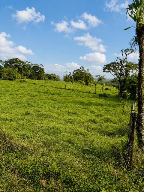 Expansive Agricultural Farm in Parcelas de Zapotal, San Ramón, Alajuela