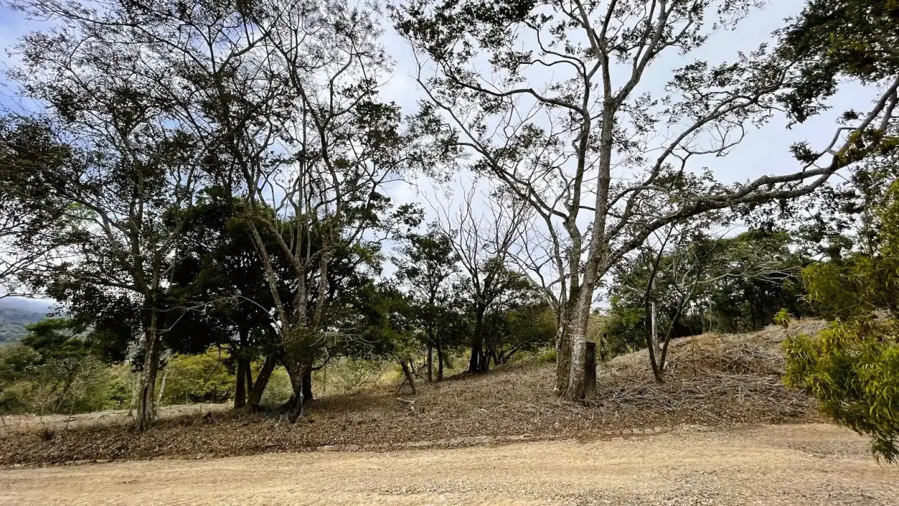 LOTE EN VENTA EN SAN PEDRO, SAN RAMON - 2