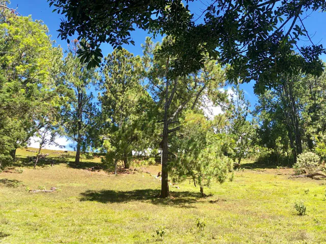 SALE / Impressive Land (With Commercial Use Permit) San Isidro, Heredia