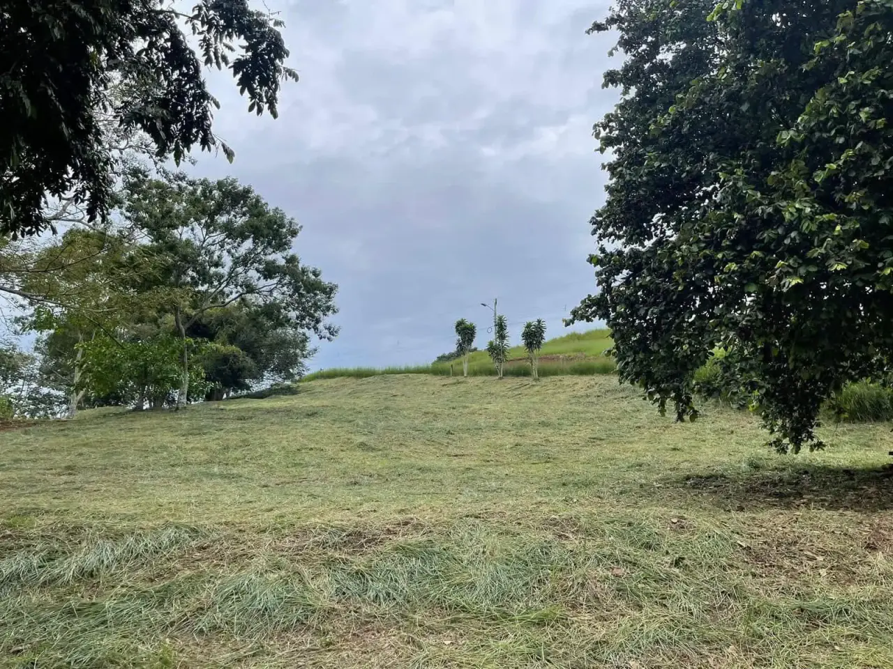 Land for sale of 502 m² in San Miguel, Naranjo - USD 50,000 - 5