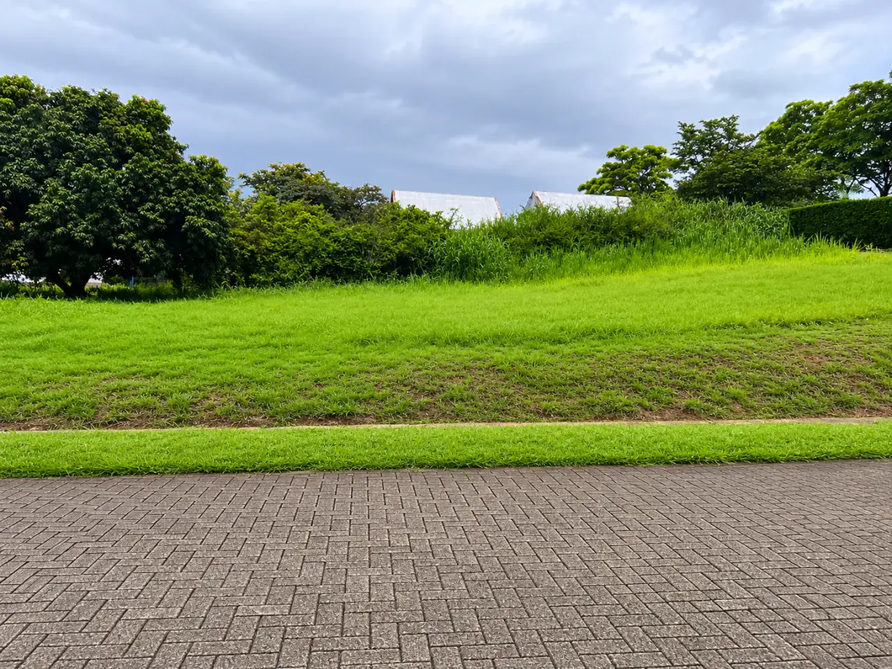 Lot in La Guácima, Alajuela, surrounded by nature and urban growth. - 2