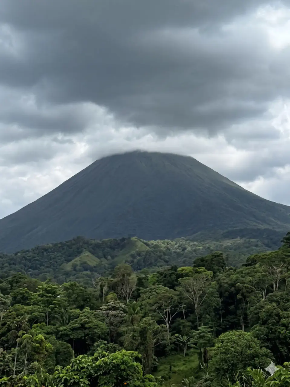 SALE / Dream Farm in the province of ALAJUELA - 3