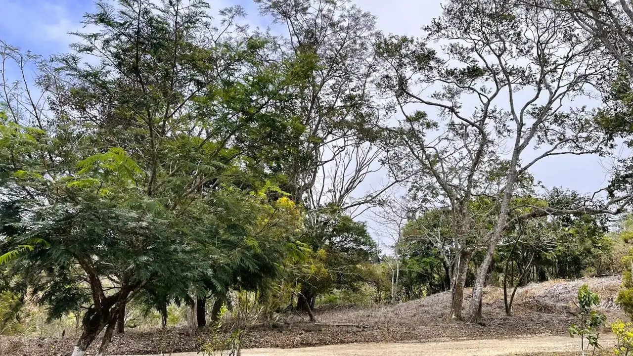 LOT FOR SALE IN SAN PEDRO, SAN RAMON - 3