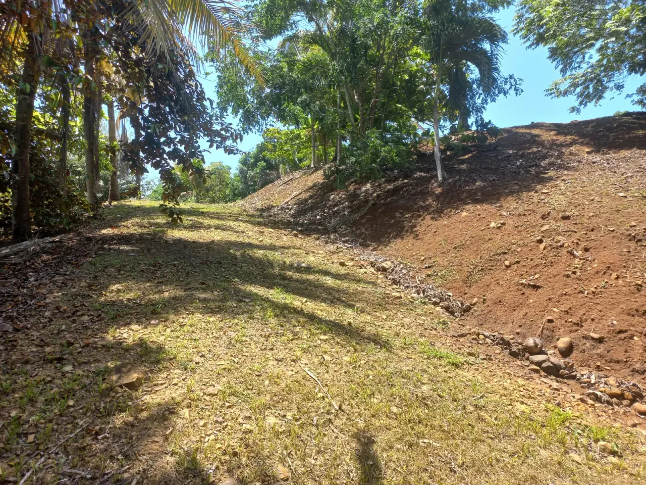 Expansive 1.1-Acre Tropical Paradise: Ready-to-Build Land with Mountain & Sunset Views - 4