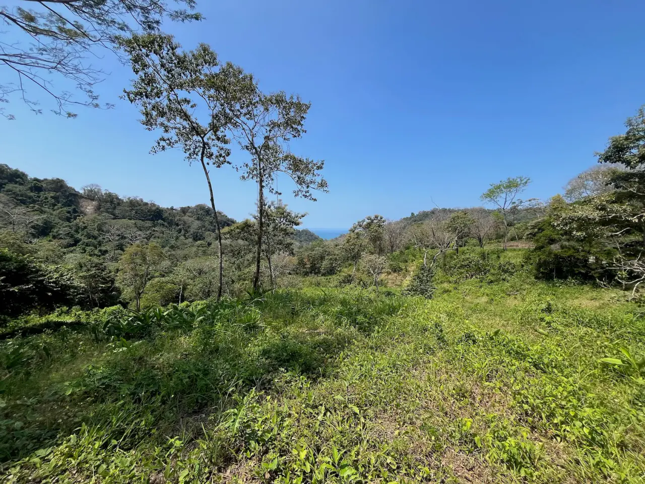 10,000m² Ocean-View Lot in Gated Community – 15 Minutes from Santa Teresa - 4