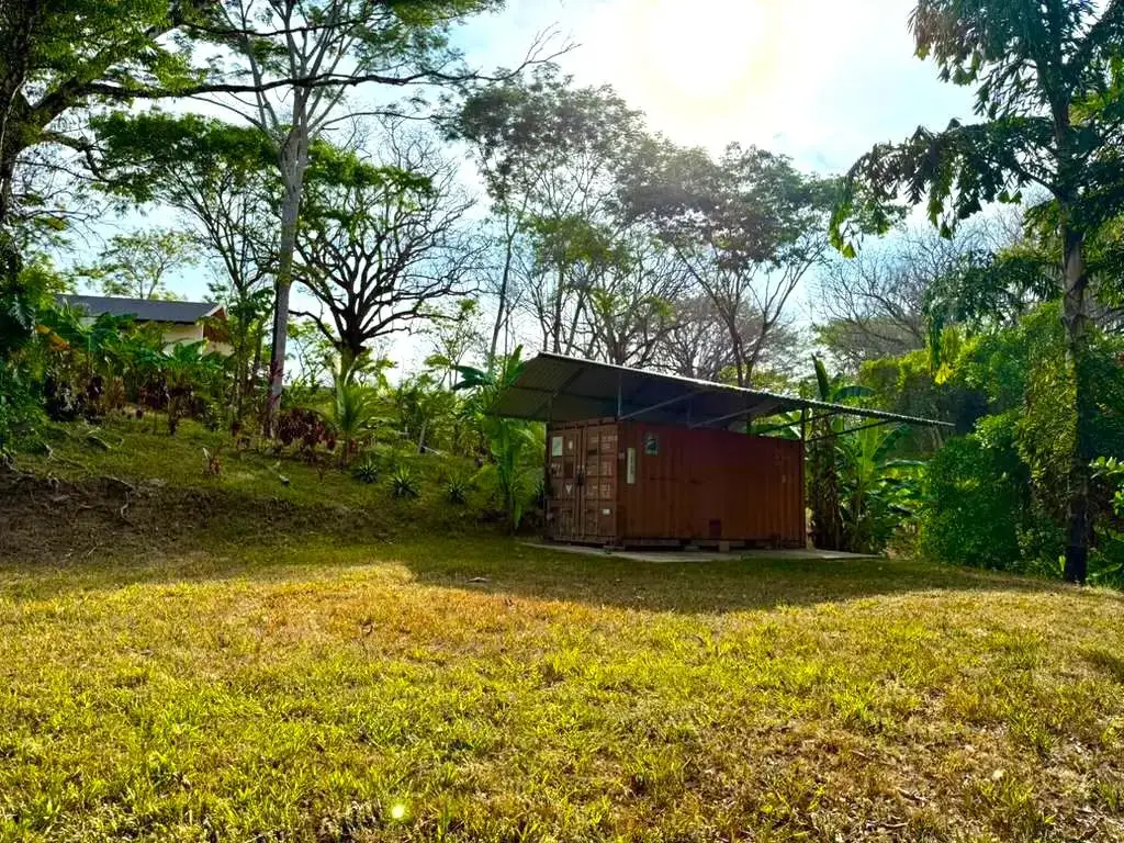 Jungle Lot 1,494 m² in Delicias with Container Storage & Home Potential | 15 Min to Playa Carmen - 5