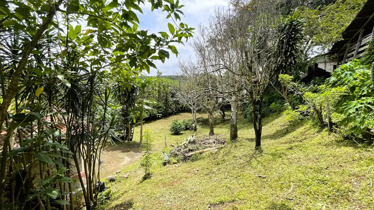 LOT WITH HOUSE FOR SALE IN SAN RAMÓN, ALAJUELA - 3