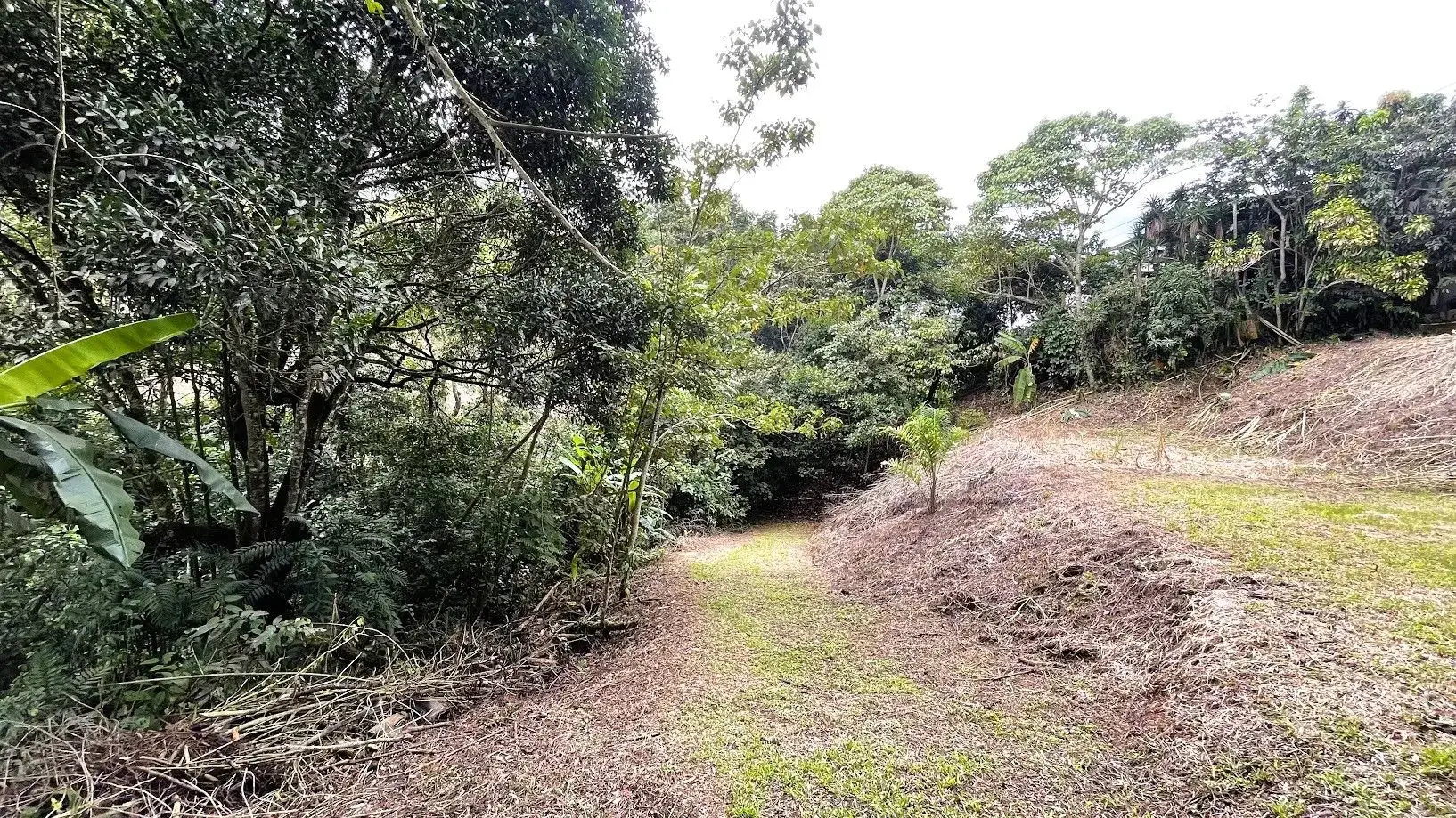 COMMERCIAL LOT FOR SALE IN SAN MIGUEL, NARANJO - main