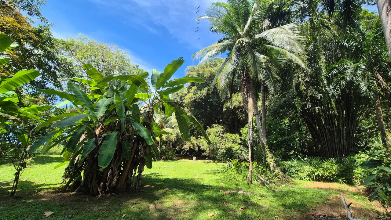 Dream Beachfront Property at Ballena Beach in Uvita, Costa Rica - 5