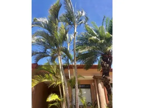 Sale / Very Nice House in Condominium, Lindora, Pozos, Santa Ana, San Jose - main