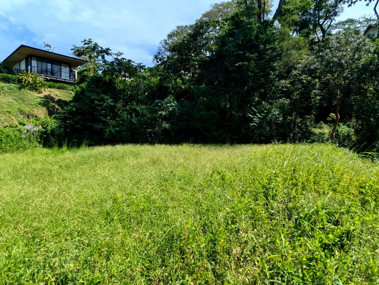 Ocean View Lot in Mal Pais - 5