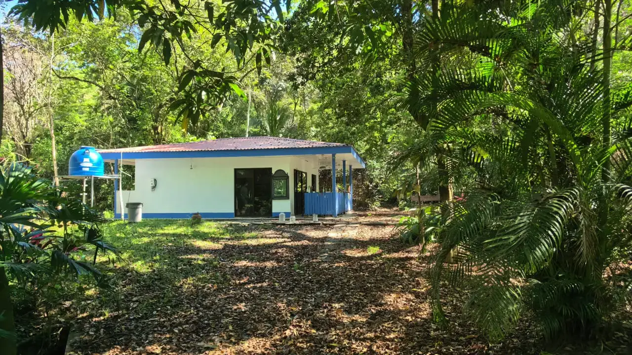 Prime Property for Sale in Mal País, Santa Teresa – Walking Distance to the Beach - 2