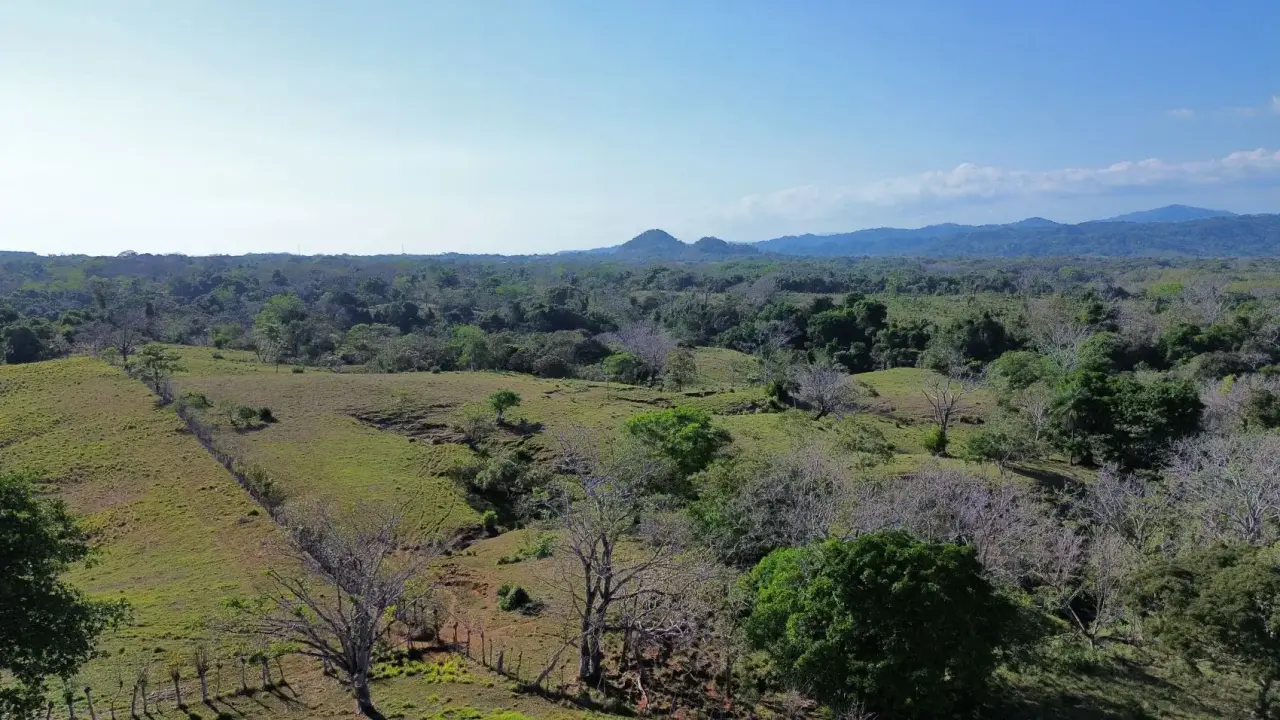 Exceptional 32-Hectare Finca for Sale Near Santa Teresa, Costa Rica – $12.50/m² - 3