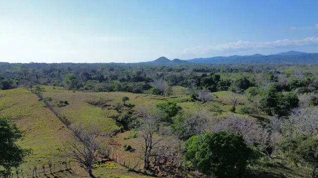 Exceptionnel terrain agricole de 32 hectares à vendre près de Santa Teresa, Costa Rica – 12,50 $/m²