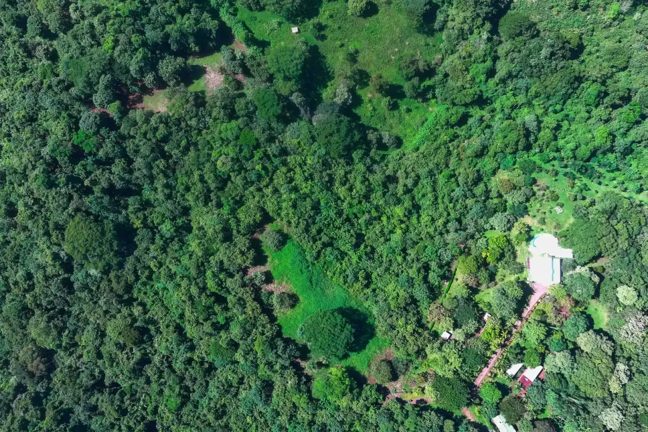Garabito Land: 4-Acre Lot in Eco Desarrollo Community - 3