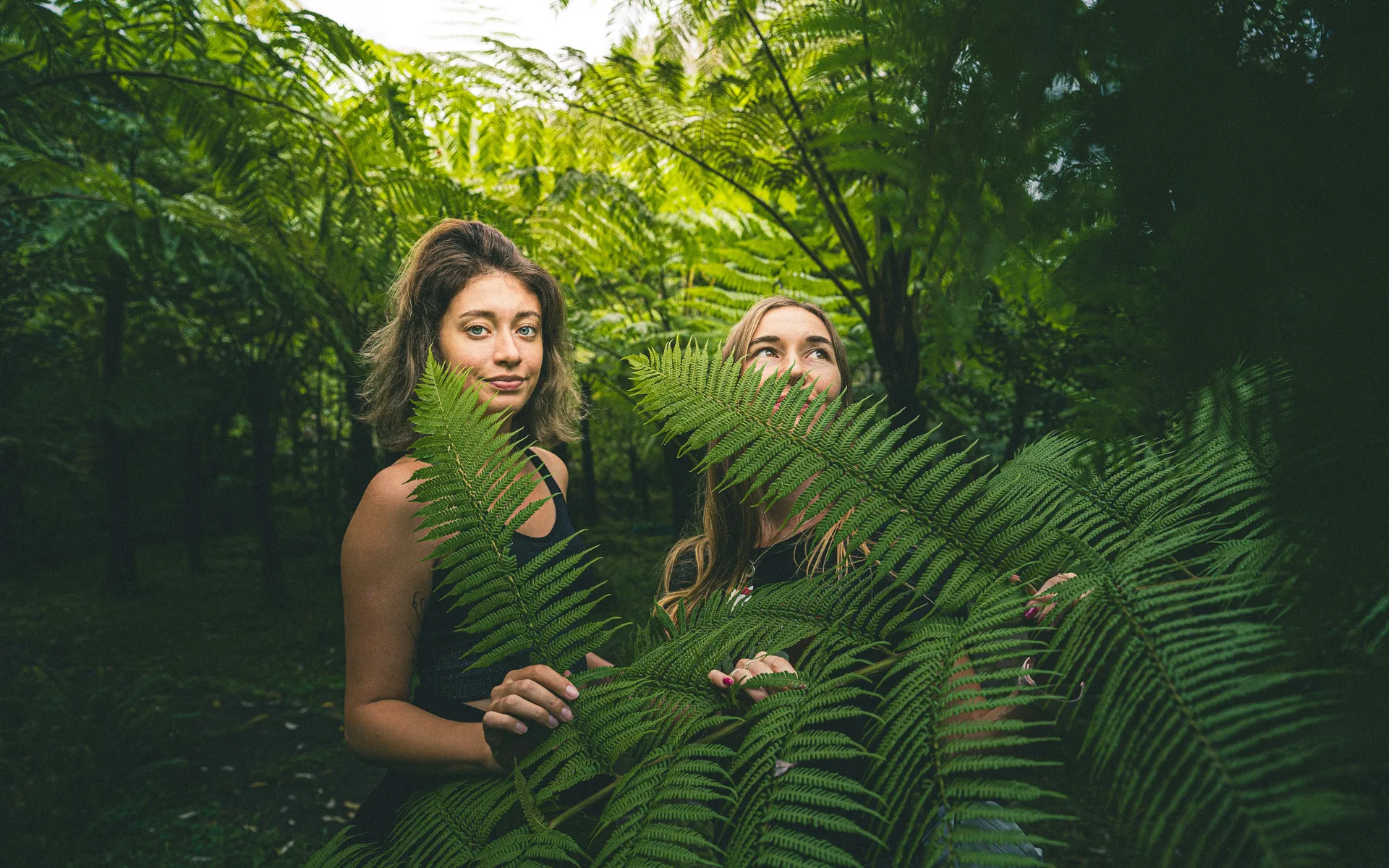 Two women among giant ferns in a tropical forest